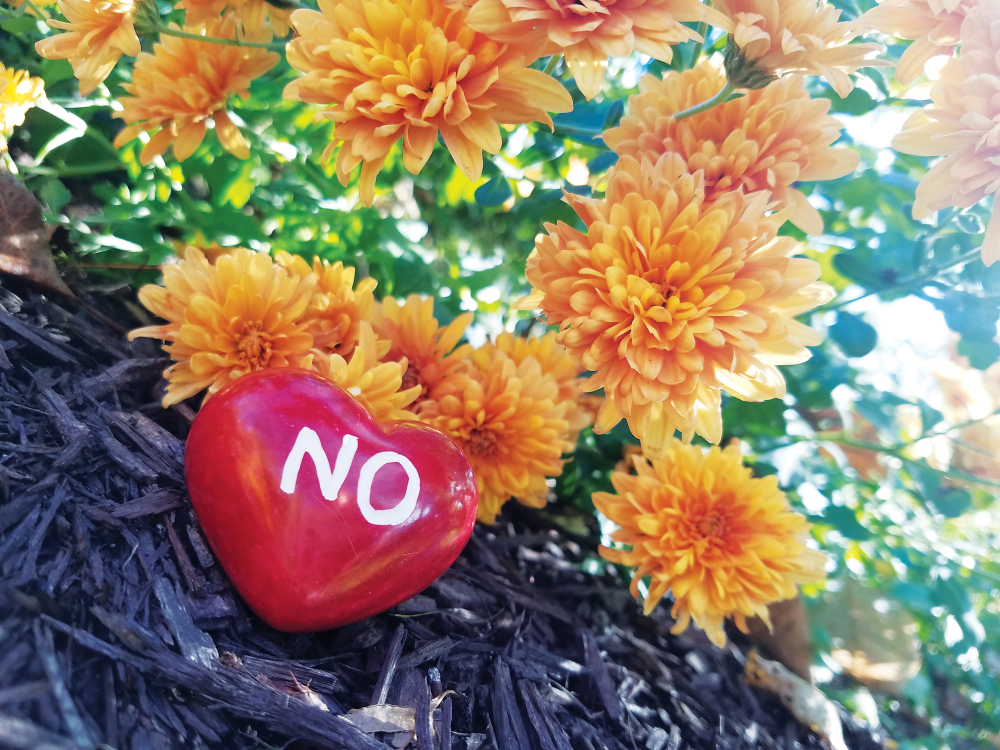 Learn how to say “no” to yourself and others