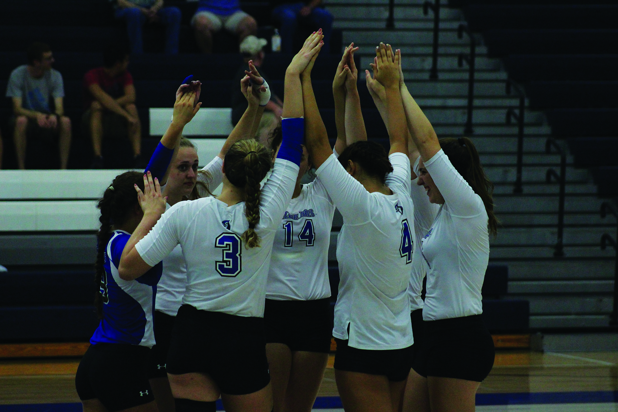 Volleyball dominates Arcadia Invitational, wins seventh in a row
