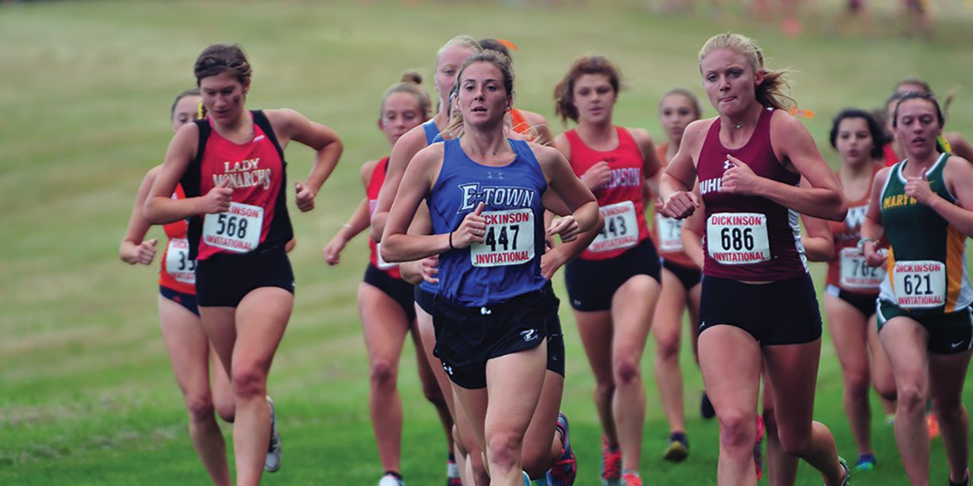 Cross Country dominates at Rochester Yellowjacket Invitational