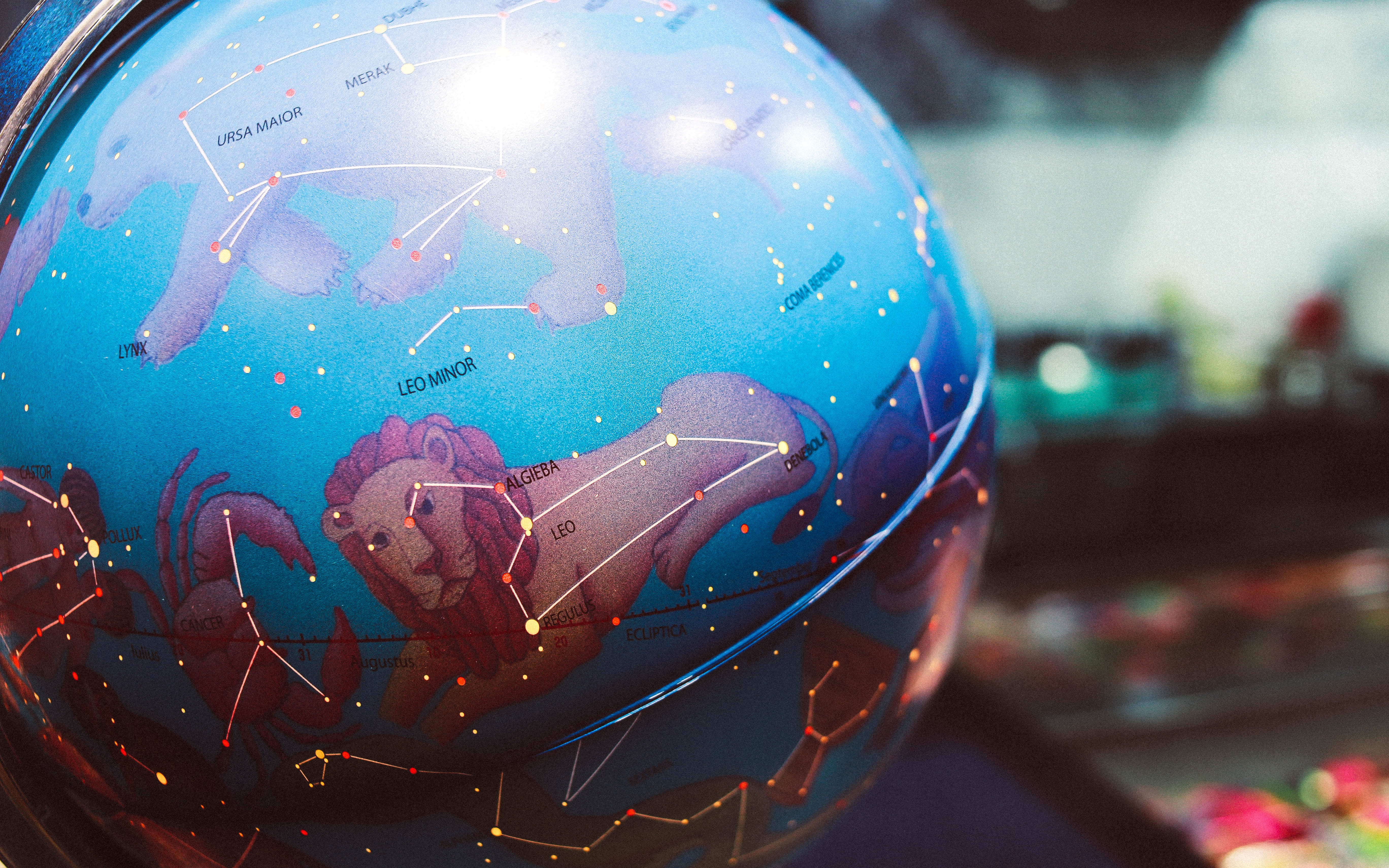 2/17/22 Horoscopes: What kind of flower are you?