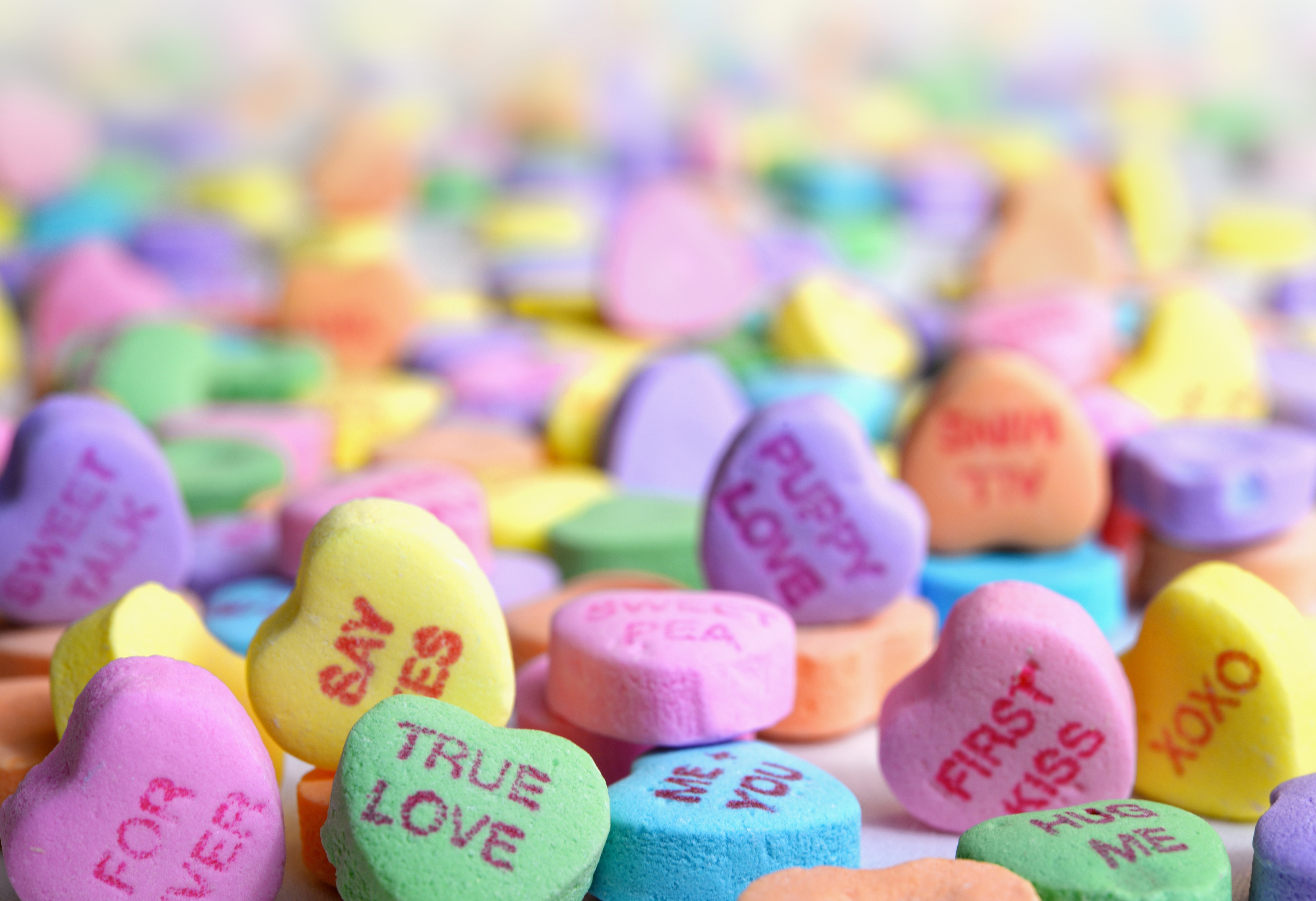 Valentine’s Day Plans