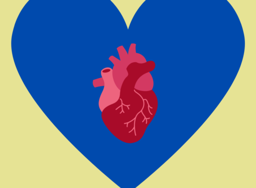 Keeping the heart beating