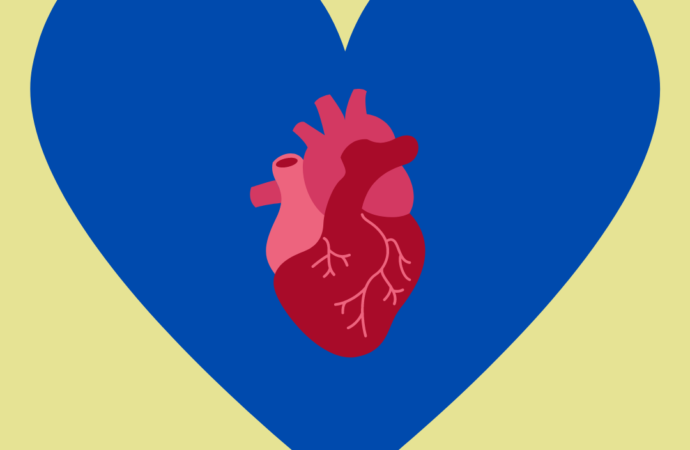 Keeping the heart beating