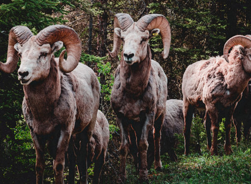 3/24 Horoscopes: Messages for this week