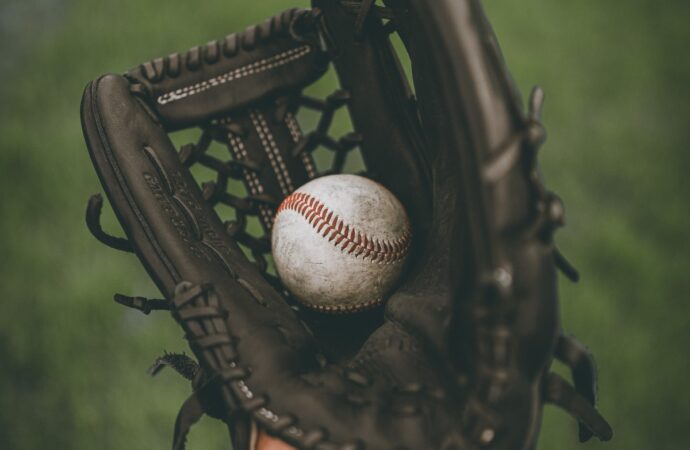 The Harrisburg Senators’ season preview
