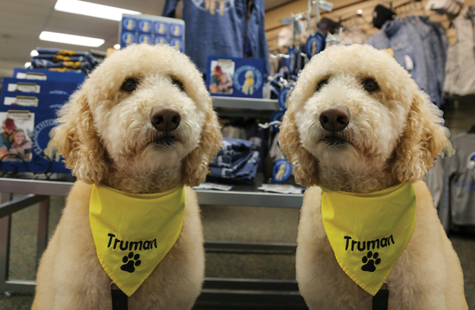 Biology department successfully clones the beloved Truman