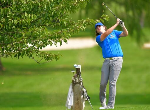 Blue Jays place eighth in Dickinson Invitational