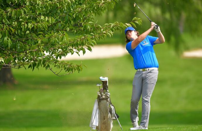 Blue Jays place eighth in Dickinson Invitational