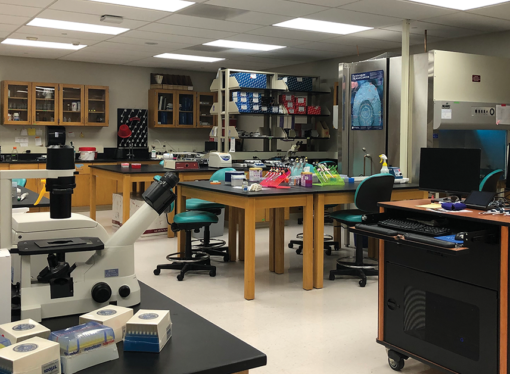 Etown introduces new medical humanities minor