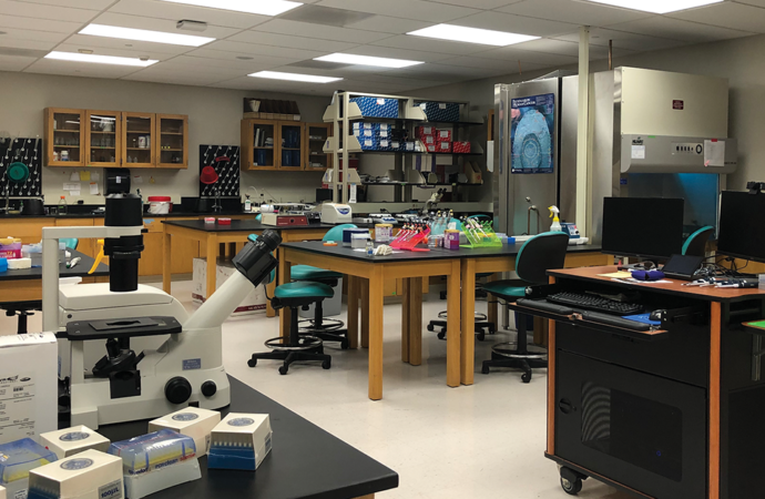 Etown introduces new medical humanities minor
