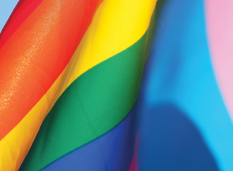 Anti-trans and LGBTQ+ bills make their way through state legislatures