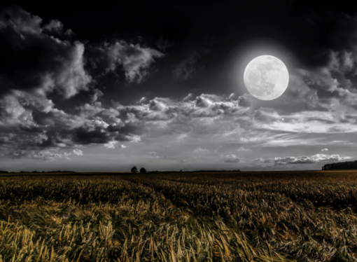 Harvest Moon Horoscopes: Get ready for new beginnings