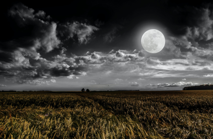 Harvest Moon Horoscopes: Get ready for new beginnings
