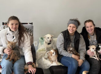 Club Feature: Find out about the Animal Services Club’s latest plans