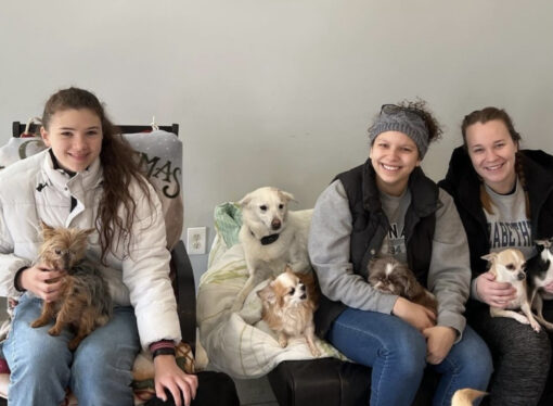 Club Feature: Find out about the Animal Services Club’s latest plans
