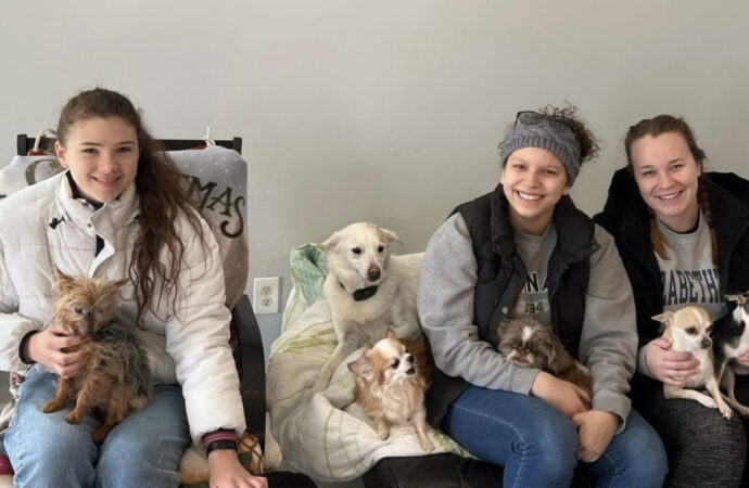 Club Feature: Find out about the Animal Services Club’s latest plans