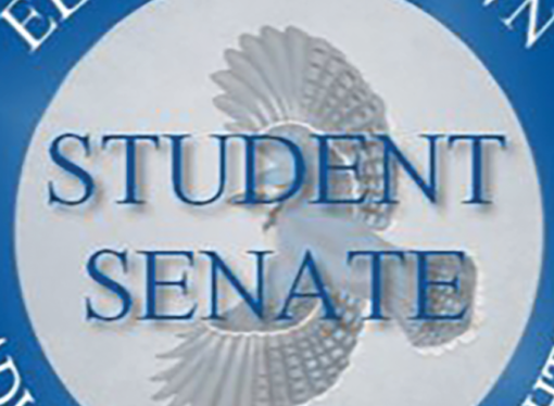 Student Senate: Voting for class elections and Homecoming begins