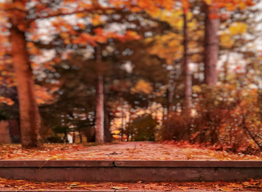 Horoscopes: Fall traditions