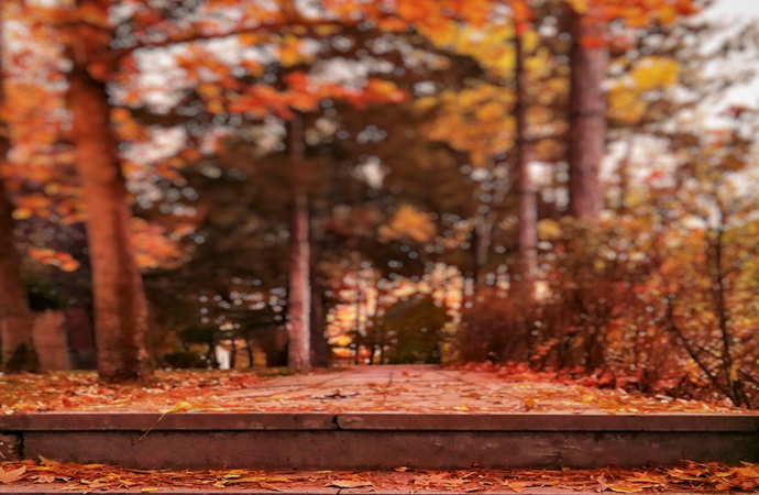 Horoscopes: Fall traditions