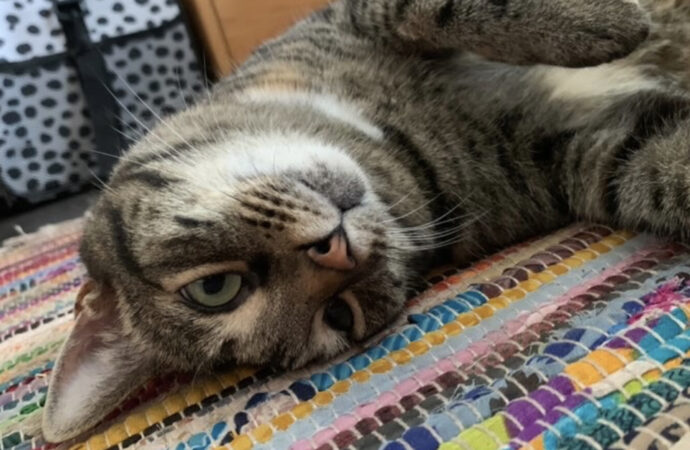 Welcome to the Jungle: Meet Tyga