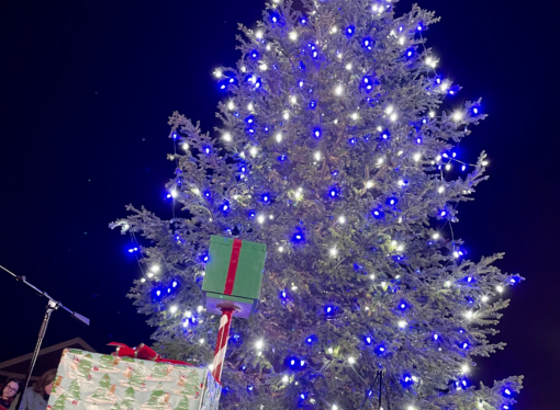 The College announces plans for Annual Holiday Dinner and Tree-Lighting Ceremony