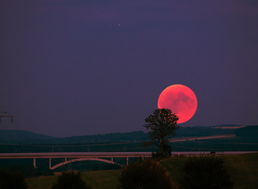 Horoscopes: What is the Blood Moon bringing your way?