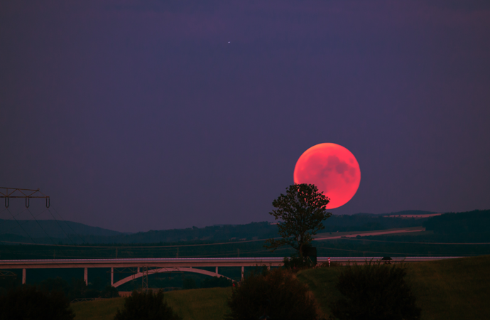Horoscopes: What is the Blood Moon bringing your way?