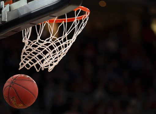 A History of The Palestra