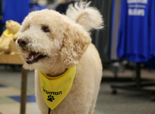 Etown continues “Make a Deposit, Make a Difference” program