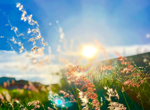 Horoscopes: New changes with the spring equinox