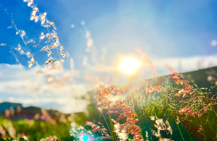 Horoscopes: New changes with the spring equinox