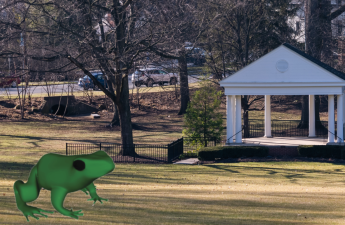 Elizabethtown College Mascot: The rise of Rory