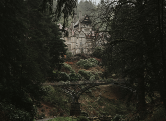 Movie Review: Psychological horror with “Bodies Bodies Bodies”