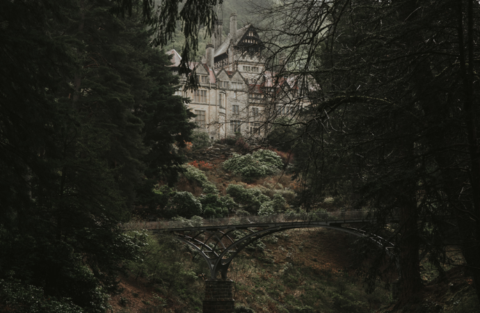 Movie Review: Psychological horror with “Bodies Bodies Bodies”