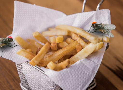 Prank Recipe Review: French Flies
