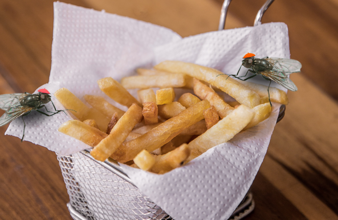 Prank Recipe Review: French Flies