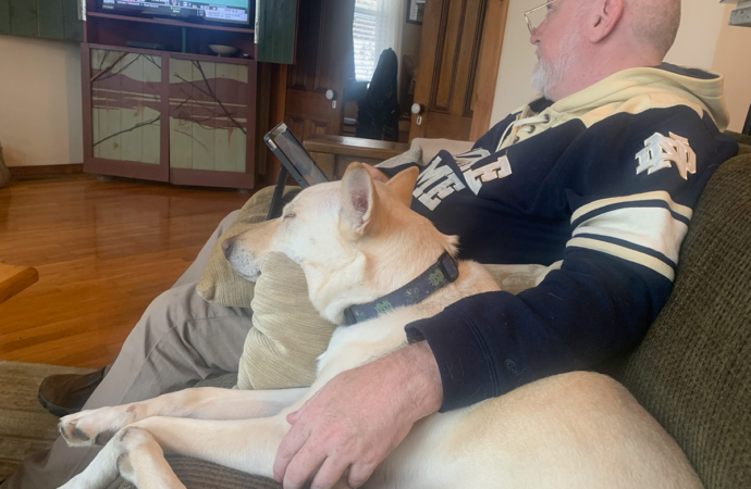 Welcome to the Jungle: Meet energetic “mutt” Domer