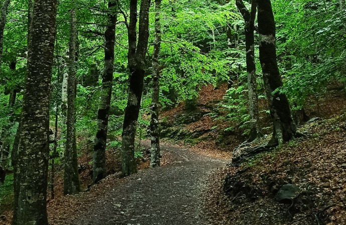 Activity Review: Exploring Conewago Recreation Trail