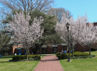 Student Senate: Senators raise concerns about lack of counselor availability