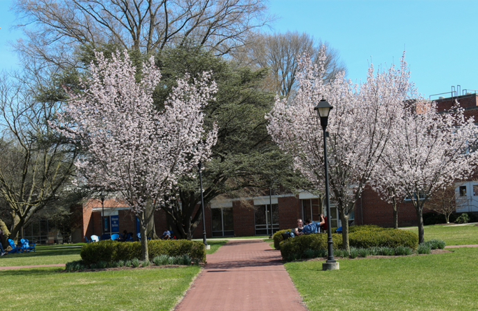 Student Senate: Senators raise concerns about lack of counselor availability