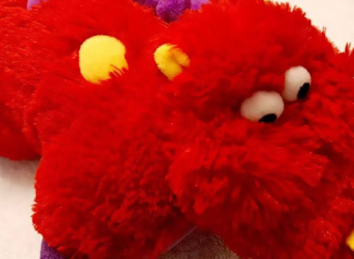 Horoscopes: What Pillow Pet are you based on your zodiac sign?