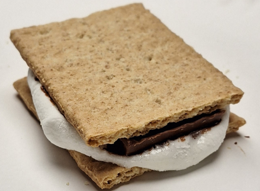 Recipe Review: Microwave S’mores