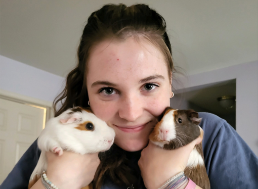 Welcome to the Jungle: Pearl and Sandy the guinea pigs
