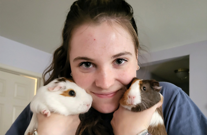 Welcome to the Jungle: Pearl and Sandy the guinea pigs