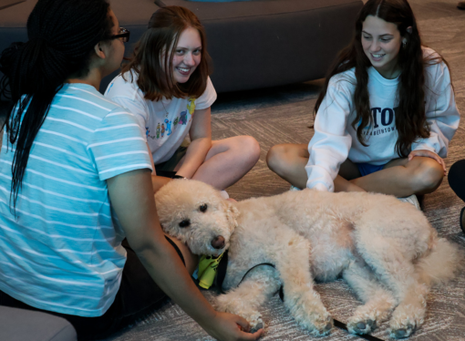 Etown looks to expand service dogs on campus