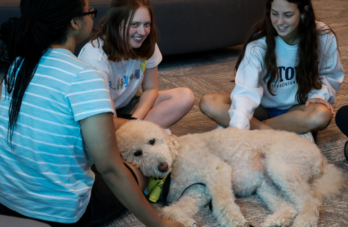 Etown looks to expand service dogs on campus