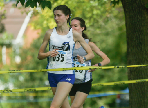 Blue Jays set personal records at Dickinson Pre-Nationals Meet