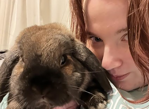 Welcome to the Jungle: Darwin the rabbit