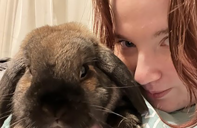 Welcome to the Jungle: Darwin the rabbit