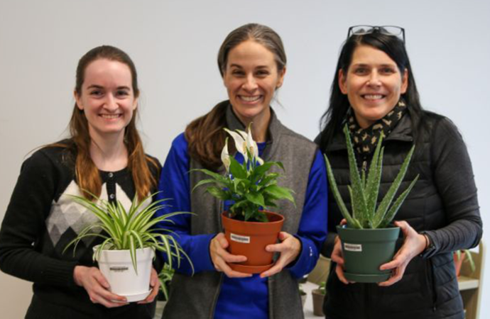 High Library starts plant-loaning program